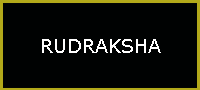 RUDRAKSHA